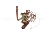 340620-704 Bryant Payne Txv Kit