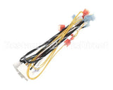 343-00128 Grindmaster Cecilware Harness Tank Control Adapter 120V