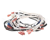 343-00144 Grindmaster Cecilware Wire Harness