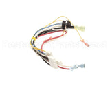 343-00159 Grindmaster Cecilware Wire Harness Autofill Bubbler