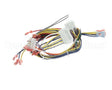 34435 Blodgett Harness,Iq Control Ctbkfc