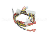 34435 Blodgett Harness,Iq Control Ctbkfc