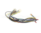 34436 Blodgett Harness, Iq Control Rear Ctbkfc