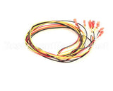 34470 Blodgett Harness, Motor Two Speed