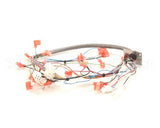 34985.0000 Bunn Wiring Harn, Door I/C Fmd-5