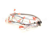 34985.0000 Bunn Wiring Harn, Door I/C Fmd-5