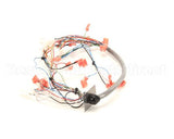 34985.0000 Bunn Wiring Harn, Door I/C Fmd-5