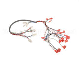 34985.0001 Bunn Wiring Harn, Door I/C Imix-5S