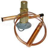 3516273 Compatible Delfield Valve, Expansion