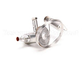 3516429 Delfield Valve,Therm Exp,W/O Mop, Small