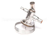 3516588 Delfield Valve,Therm Exp,W/O Mop, Small
