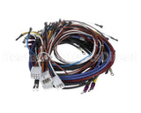 35194 Imperial Icv-E Wire Harness