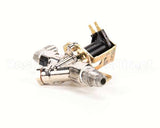 36088.0000 Bunn Valve Assembly,Sol 120V (Dual Tf)