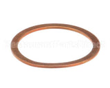 36240005 Rancilio Gasket Exchanger