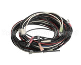 36341-3 Montague Wiring Harness