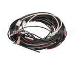 36341-3 Montague Wiring Harness