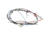36677.0016 Bunn Wiring Harness, Itcb 208V
