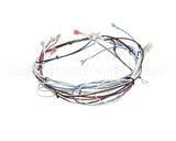 36677.0016 Bunn Wiring Harness, Itcb 208V