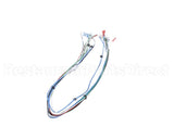 36844.0009 Bunn Wiring Harness, I/O Head#5 Imix