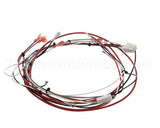 36849.0002 Bunn Wiring Harness, Power Dunkin Hwb