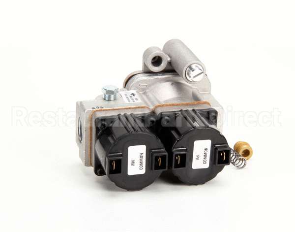 369263 Lincoln Natural Gas Cont Assembly