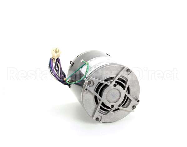 369539 Lincoln Motor 115V 2'' Gas