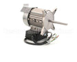 37022 Blodgett Motor Assembly, W/Conduit D1Xl