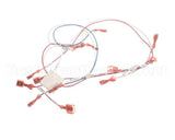 37334 Blodgett Harness, Infinite Add-In