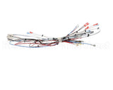 38040.0014 Bunn Wiring Harness, Main Icb Sh