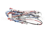 38040.0029 Bunn Wiring Harness, Main Icb Twin Sh