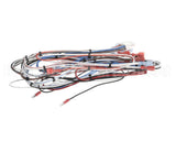 38040.0029 Bunn Wiring Harness, Main Icb Twin Sh