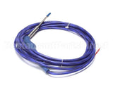 3805211 Irinox Probe, Product/Core