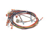 38607 Blodgett Harness, Ssd Front Bob