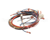 38607 Blodgett Harness, Ssd Front Bob