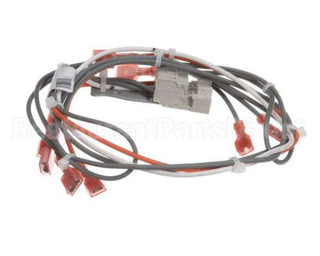 39234 Blodgett Harness,Sh1G/Ab,Control 24V