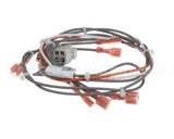 39234 Blodgett Harness,Sh1G/Ab,Control 24V