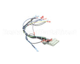 39235 Blodgett Harness,Cntl Sh1G/Zephg 2Spd