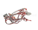 39236 Blodgett Harness,Rear