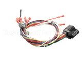39835 Blodgett Harness, Wiring Rear