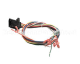 39835 Blodgett Harness, Wiring Rear