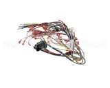 39836 Blodgett Harness, Infinite Wire