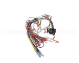 39836 Blodgett Harness, Infinite Wire
