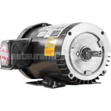 3P100T4RM-56HC Pems Motor