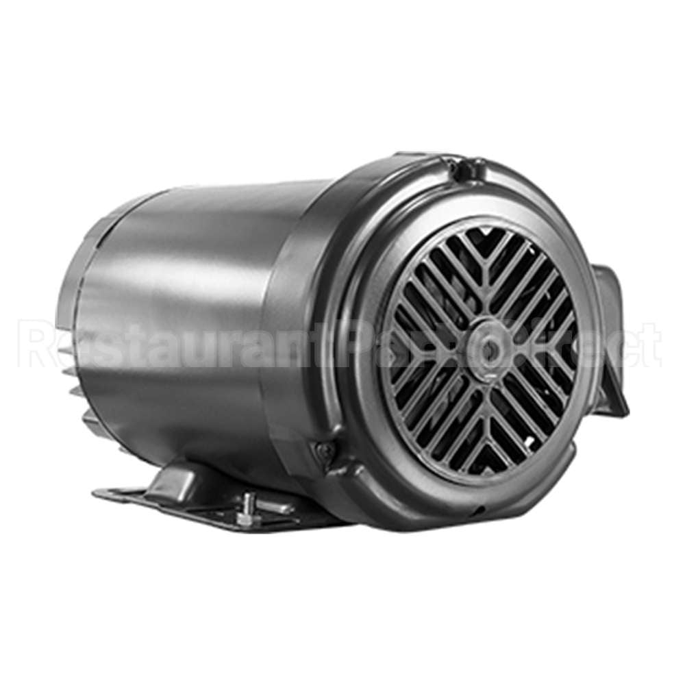 3P100T4RM-56HC Pems Motor