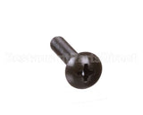 40-11073-1025 Anthony International Screw