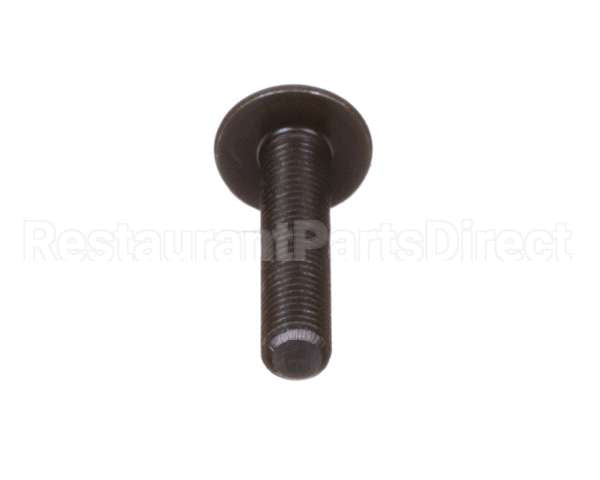 40-11073-1025 Anthony International Screw