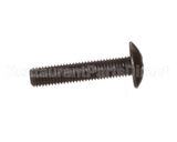 40-11073-1025 Anthony International Screw