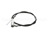 40.04.507 Rational Meat Probe Sensor W. Angle Plu