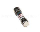 40200054 Firex Delayed Fuse 5X20 125A T250V