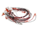 402025 Fetco Harness Low Amp Electrical
